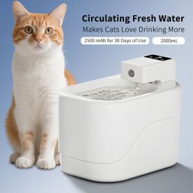 Small sugar pet water dispenser, multi-layer filtration to maintain water quality, large capacity water storage