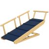 Dog Ramp(No shipments on weekends)