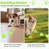 Interactive Dog Ball Toy with Remote Control – Silent Motion Activated Rolling & Bouncing